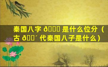 秦国八字 🐝 是什么位分（古 🌴 代秦国八子是什么）